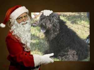 Pozv�nka na v�stavu pejsk�