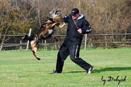 �t��ata NO z pracovn�ho spojen�