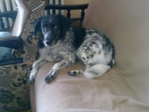 Kr�sn� fenka pro zku�en� majitele