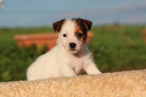 Moravskoslezsk� kraj