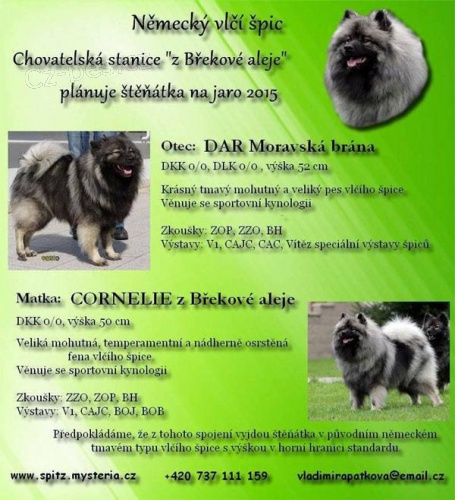 N�meck� �pic vl��