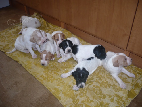 �t��ata pointr�