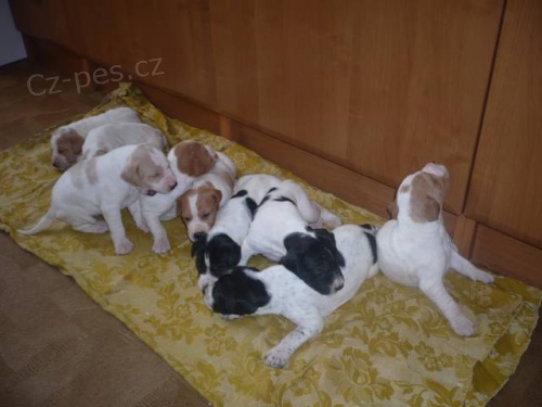 �t��ata pointr�