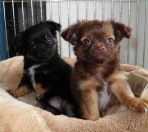 M�me �t���tka