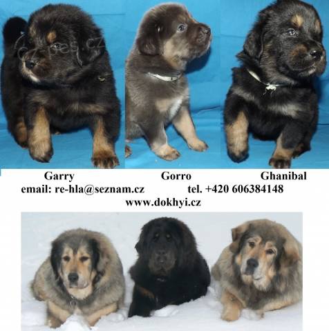 Tibetsk� doga - DoKhyi