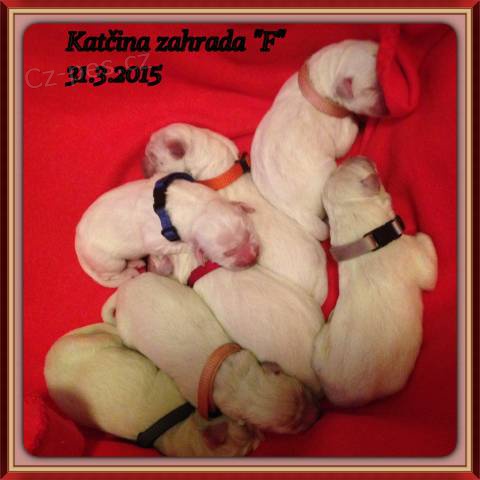 Slovensk� �uva� s PP