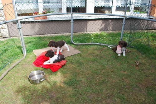 �t��ata Mal�ho m�nsterlandsk�ho oha�e