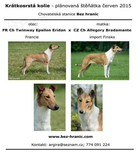 Kr�tkosrst� kolie - �t���tka