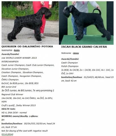 Kn�ra� st�edn� �ern� s PP