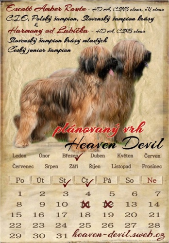 Briard - plav� �t���tka