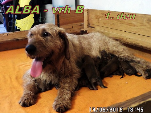 �t�rsk� brak��