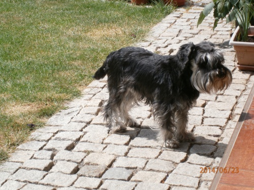 �t�n� kn�ra�e �ernost��b�it�ho s PP