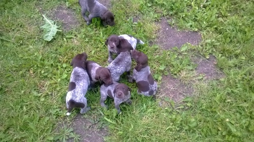 Prod�m �t�n�tka