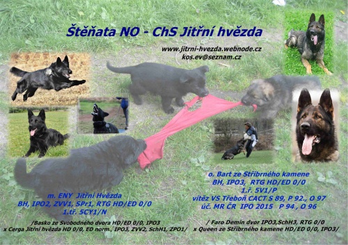 N�meck� ov��k �t��ata s PP