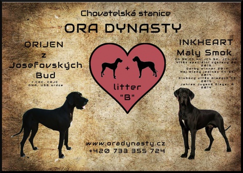 N�meck� doga- �ern� s PP