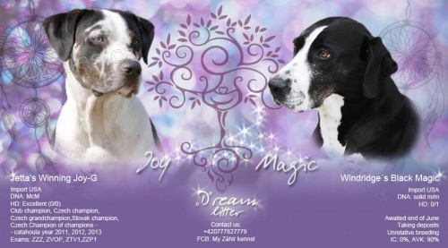 Leopard� pes �t���tka s PP