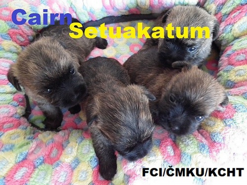 �t���tka Cairn Teri�r�