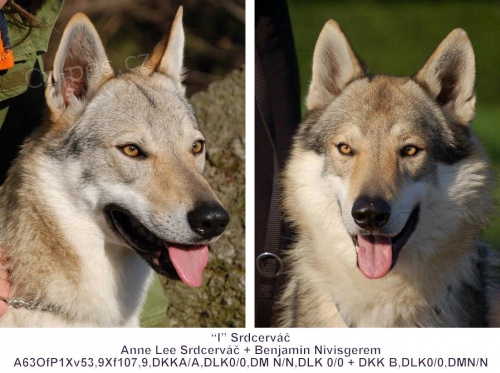 �eskoslovensk� vl��k s PP