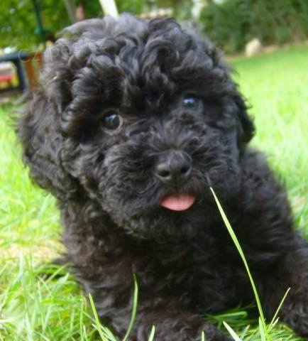 �t���tka k��enc�