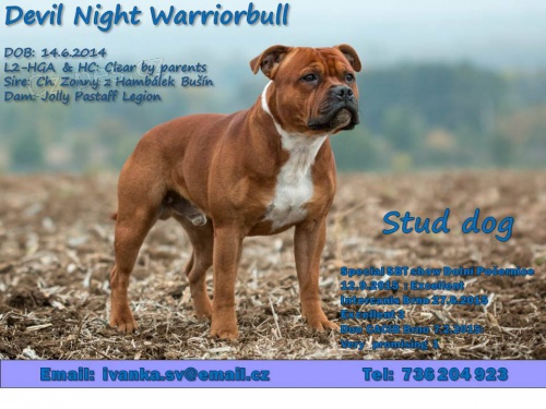 Uchovn�n� staffbull hled� nev�stu s PP