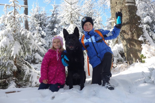 Celo�ern� N�meck� ov��k