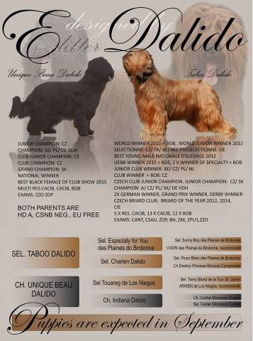 �t���tka Briarda s PP