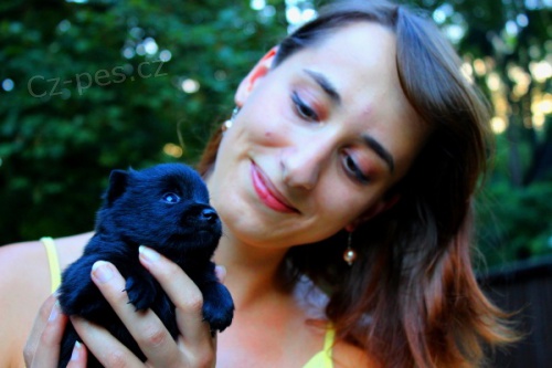 �iperka s PP - zad�me �t���tka, narod� se na V�noce