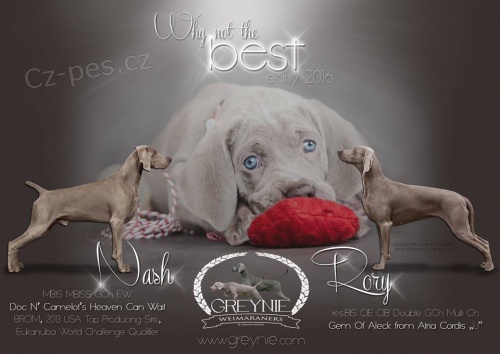 V�marsk� oha� kr�tkosrst�