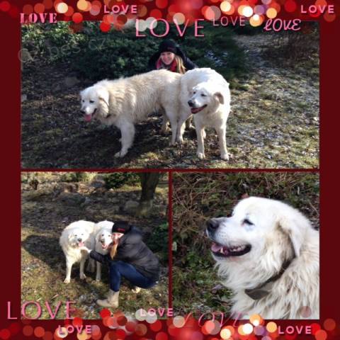 Slovensk� �uva� s PP