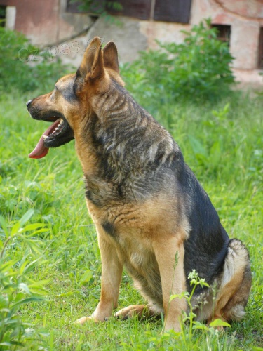 Koup�m Fenu NO s PP viz n�e