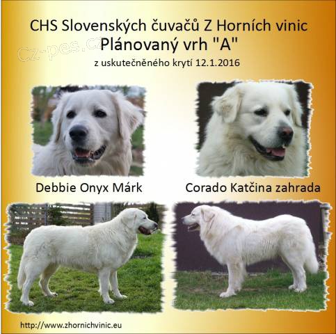 �t���tka Slovensk�ho �uva�e - prodej