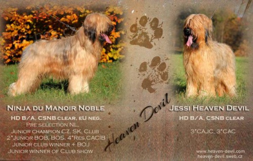 Briard - plav� �t���tka