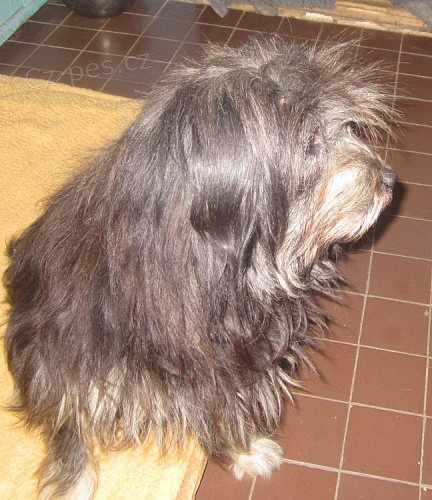 Mat�j - kamar�d do nepohody