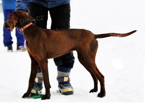 Zad�m �t��ata ESP