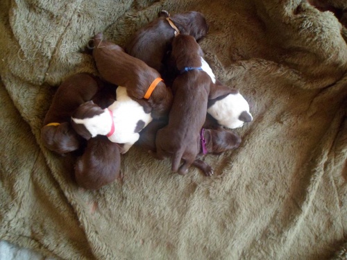 Prod�m �t��ata NOK