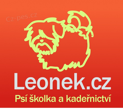 Ps� �kolka a kade�nictv� Leonek, Brno