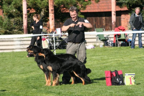 Hovavart  �����tka s PP