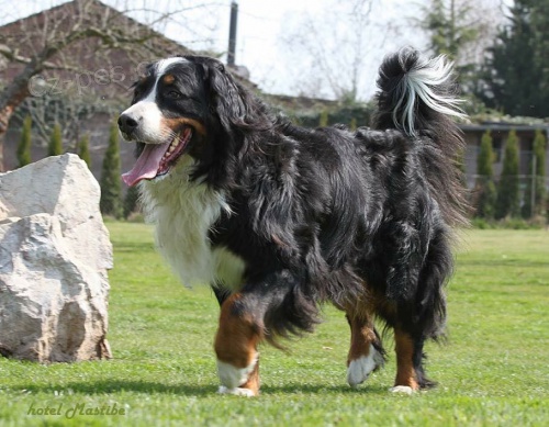 ber���ka h�ad� nov� domov