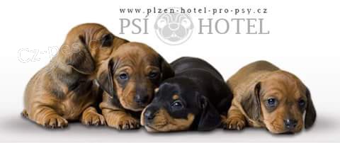 Hotel pro psy Plze�
