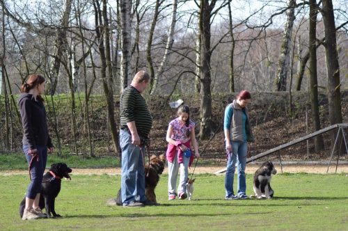 Kurzy z�kladn� poslu�nosti