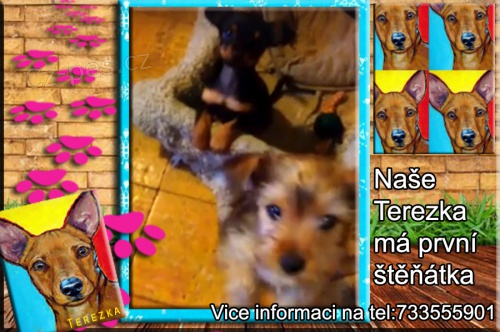 p�ekr�sn� �t���tka