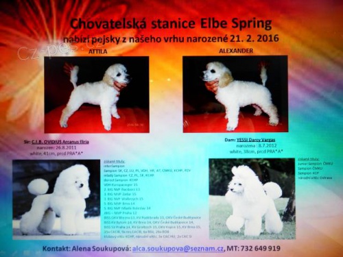 PUDL ST�EDN� B�L� - �T��ATA PEJSCI