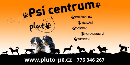 Pr�ce-hl�d�n� ps� v ps�m centru