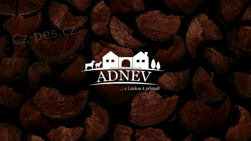 SAO s PP k zad�n�