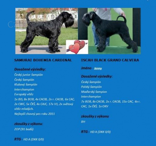 Kn�ra� �ern� st�edn� s PP