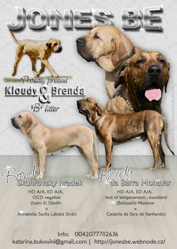 P�ij�m�me rezervace Brazilsk� fila s PP