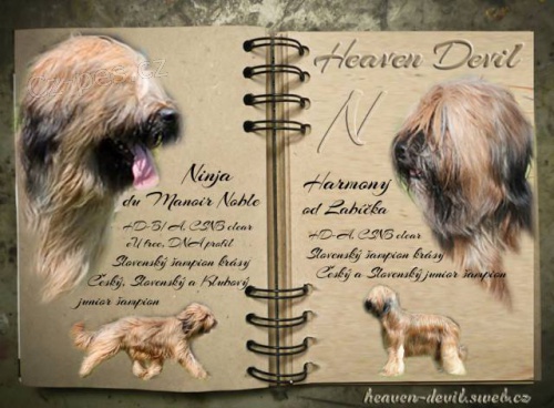 Briard - plav� �t��ata s PP