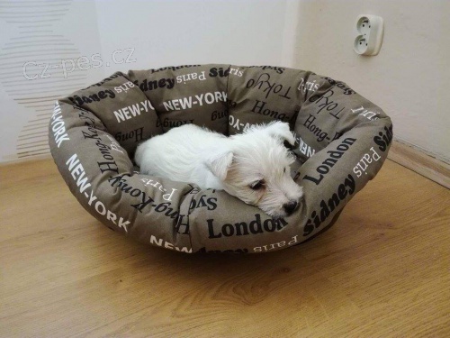 �t���tko west�ka na prodej