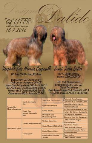 Briard - plav� �t���tka s PP.