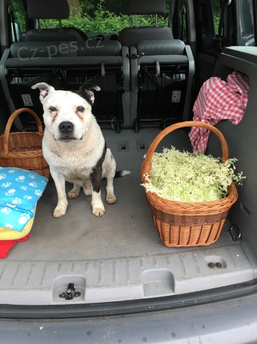 Hled�me fene�ku na kryt�